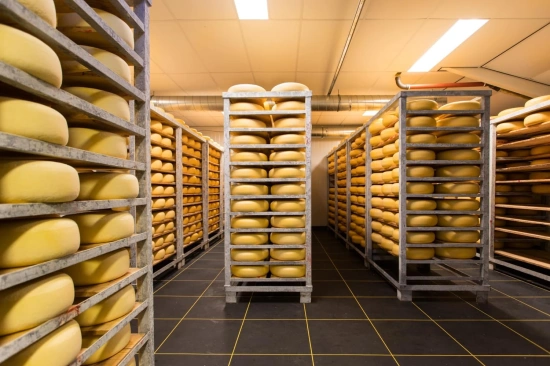 Een nieuwe Koelcelvloer